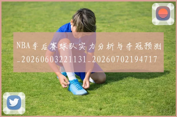 NBA季后赛球队实力分析与夺冠预测_20260603221131_20260702194717